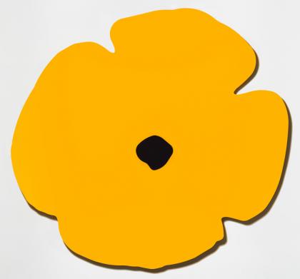 Click to enlarge Yellow Wall Poppy, Aug 13, 2020