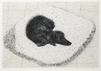 Dog Etching No. 10, (from Dog Wall)1998