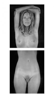 Click to enlarge Untitled (Large-Kate diptych)