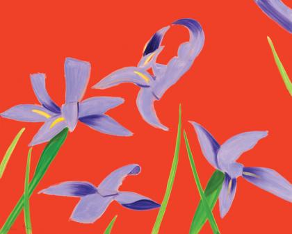 Click to enlarge Purple Irises on Red