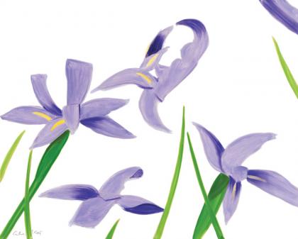 Click to enlarge Purple Irises on White