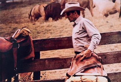 Click to enlarge Untitled (from Cowboys & Girlfriends)