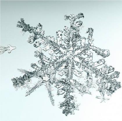 Click to enlarge Untitled (Snowflake)