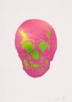 The Sick Dead: Loganberry Pink / Lime Green Skull2014