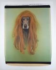 Pat (Dog in Wig)1998