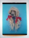 Sally (Dog in Wig)1998